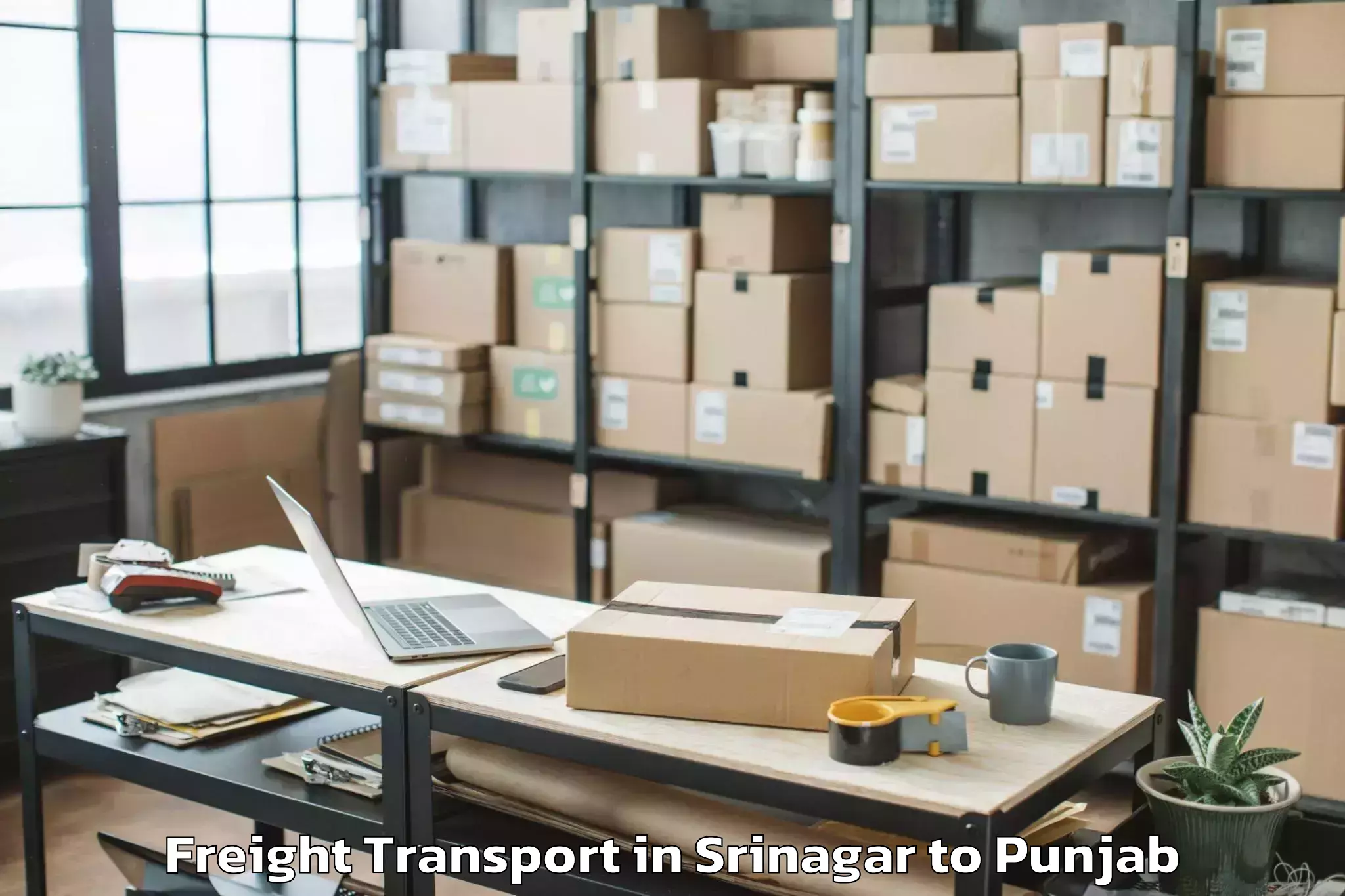 Srinagar to Vr Mall Punjab Freight Transport Booking